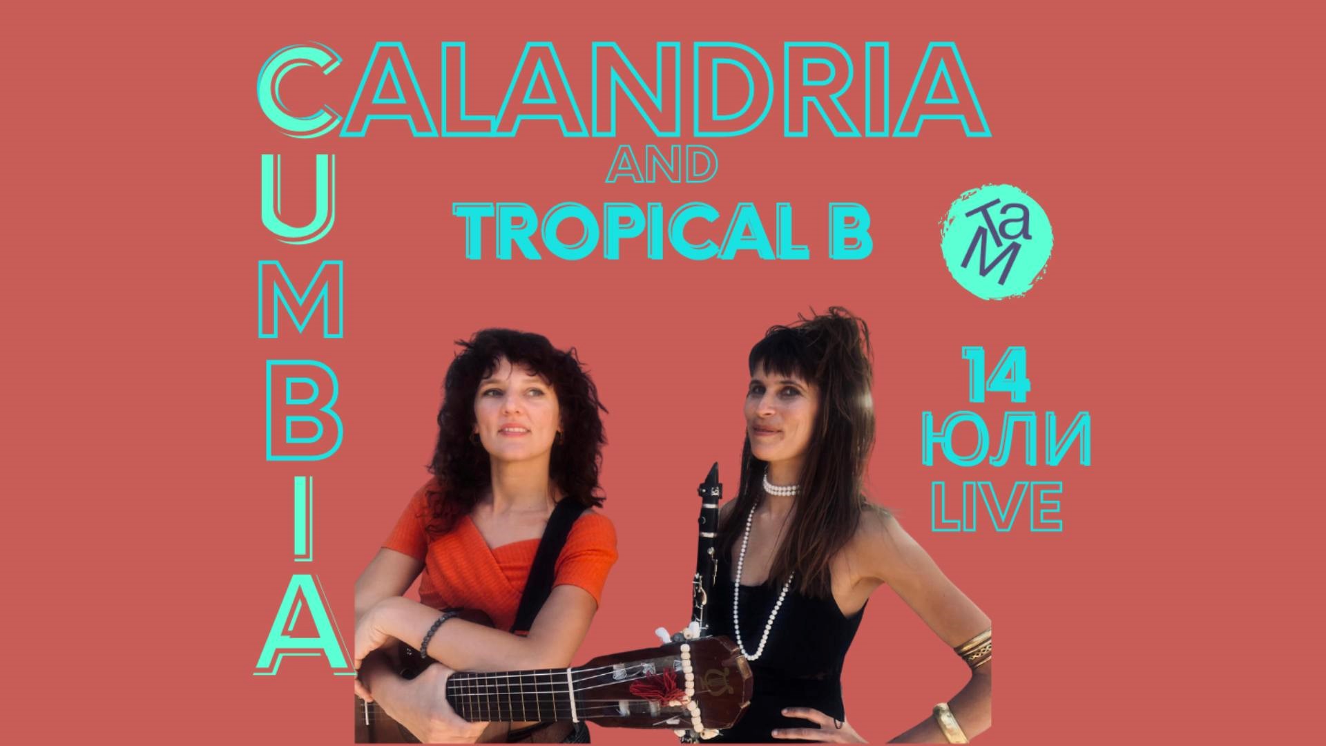 Calandria & Tropical B